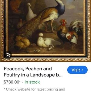 Colorful Bird Art Print